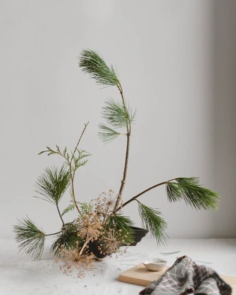 Winter Ikebana Arrangements, Winter Ikebana, Ikebana Christmas, Christmas Ikebana, Ikebana Sogetsu, Ikebana Arrangements, Flower Inspiration, Concrete Crafts, Christmas Arrangements