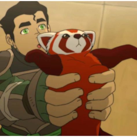 Nawww! Pabu is so cute, I want a fire ferret! Bolin Legend Of Korra, Korra Mako, Southern Water Tribe, Air Nomads, Sage Wisdom, Avatar Ang, Republic City, The White Lotus, Avatar Korra