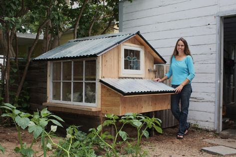 Chicken Coop Ideas, Chicken Cottage, Cheap Chicken Coops, Passive Solar Heating, Chicken Coup, Black Roof, Coop Ideas, Coop Design, Chicken Coop Designs