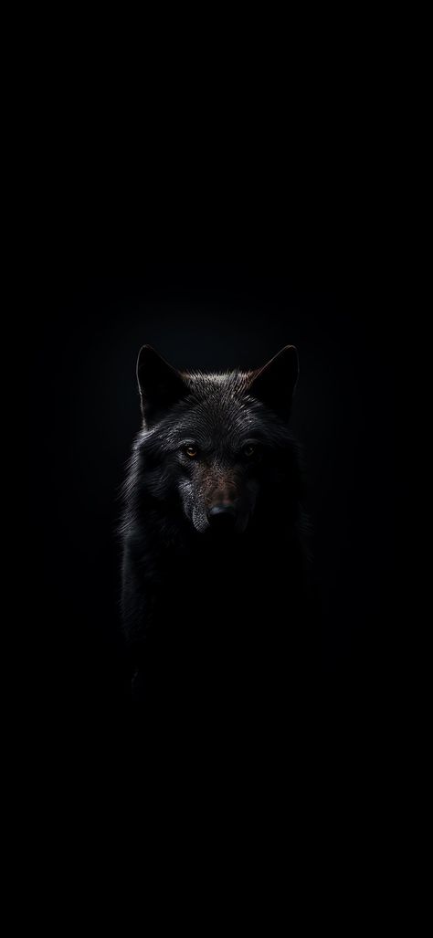 Wolf Wallpapers For Phone, Viking Wallpaper Iphone, Aesthetic Wolf Wallpaper, Wolf Wallpaper Dark, Dark Wolf Wallpaper, Dogs Aesthetic Dark, Wolf Wallpaper Aesthetic, Wolf Aesthetic Wallpaper, Black Wolf Aesthetic