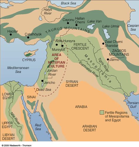 fertile crescent Fertile Crescent Map, Mesopotamia Lesson, Ancient Civilizations Timeline, Bible Genesis, Bible Maps, Fertile Crescent, The Tower Of Babel, Cool Maps, Bible Mapping