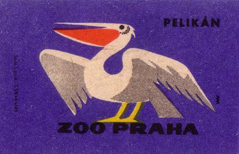 Prague Zoo: pelican by oliver.tomas, via Flickr Prague Zoo, Animal Illustrations, Postage Stamp, Prague, Stamp, Not Found, Illustrations