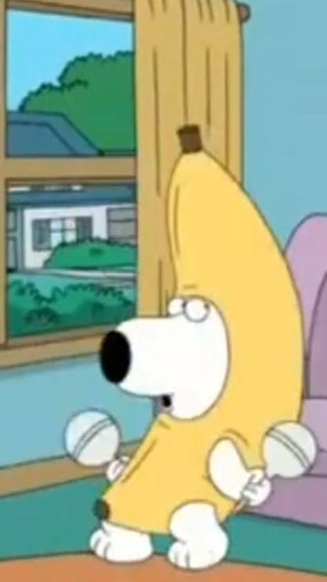 Low Quality Family Guy Screenshots, Brian Griffin Icon, Funny Family Guy Pictures, Brian Griffin Pfp, Family Guy Reaction Pics, Family Guy Stewie Icon, Stevie Griffin, Brian Family Guy, I Griffin