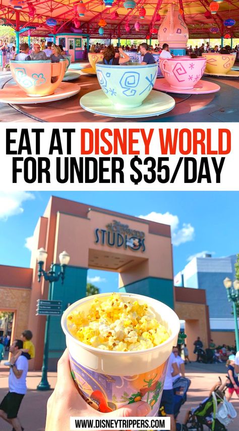 Eat at Disney World for under $35/day Disney World Cheap, How To Eat Cheap, Best Disney World Food, Eat Cheap, Food Disney, Disney Cheap, Disney On A Budget, Cheap Food, Disney World Vacation Planning