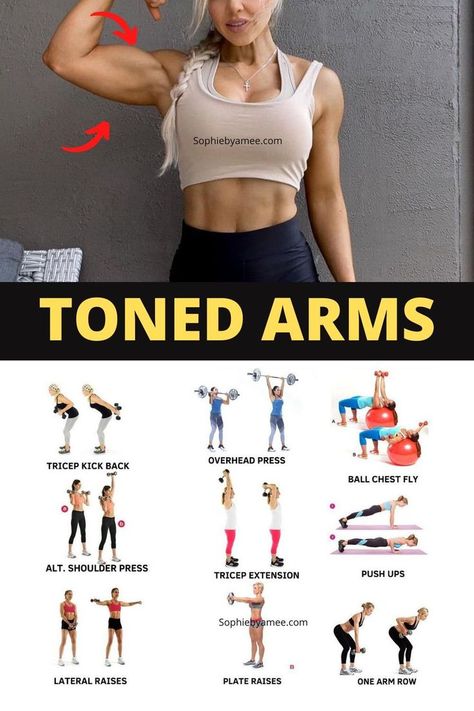 #rank1 #tonearms #Leantonearms #Armsworkout #fitnesslovers Flabby Arms Workout, Flabby Arm Workout, Tone Arms, Tone Arms Workout, Gym Workout Plan For Women, Arm Workout Women, Arms Workout, Flabby Arms, Workout Plan For Women