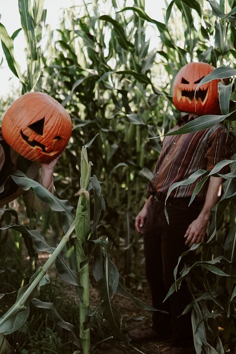 Pumpkin On Head Picture, Pumpkin Head Photoshoot Ideas, Pumpkin Head Aesthetic, Halloween Pumpkin Head Photoshoot, Halloween Pumpkin Photoshoot, Pumpkin Head Pictures, Pumpkin On Head, Pumpkin Photo Shoot, Pumpkin Head Photoshoot Friends