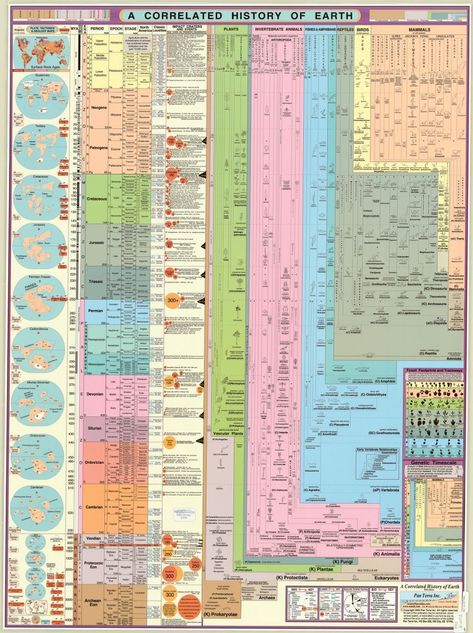 Geography Aesthetic Art, Earth Grid, Geologic Time Scale, Science Infographics, Survival Skills Emergency Preparedness, Boat Navigation, Ley Lines, History Of Earth, History Infographic