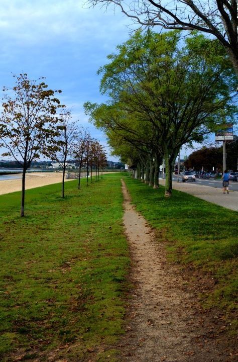 Carson Beach, South Boston, Sunrise. Boston Cambridge, South Boston, Dirty Water, My Town, My Happy Place, Happy Place, Happy Places, Cambridge, New England