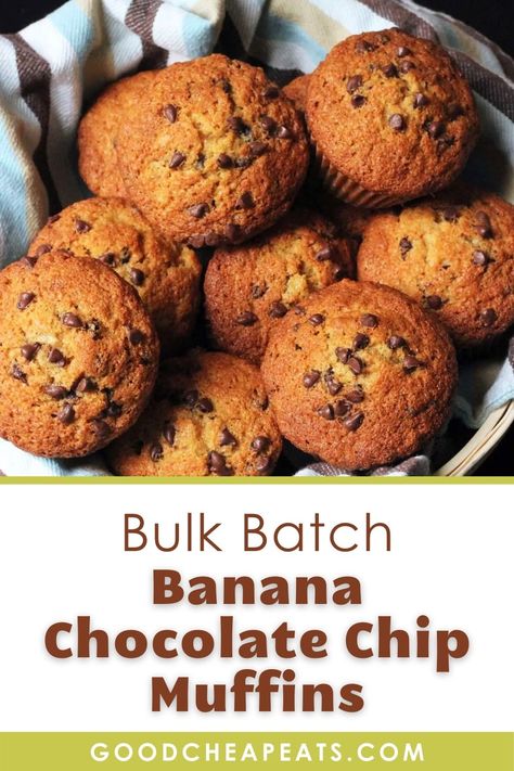 Bake someone happy with a bulk batch of these Banana Chocolate Chip Muffins. Easy and delicious, they are perfect for breakfast and for tucking into lunch boxes. #bulkcooking #budgetmeals #freezermeals #savingmoney #breakfast #muffins #goodcheapeats Big Batch Banana Muffins, Bulk Muffin Recipe, Large Batch Banana Muffins, Big Batch Muffin Recipes, Banana Chocolate Chip Muffins Easy, Banana Choc Chip Muffins, Afterschool Snacks, Banana Bread Muffins Easy, Chocolate Chip Muffins Easy