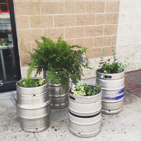 We re-purposed beer kegs into planters for outside of our office! Under Bar Lighting Ideas, Small Beer Garden, Beer Keg Ideas, Beer Garden Design, Beer Garden Ideas, Brewery Decor, Brewery Ideas, Beer Stand, Craft Beer Shop