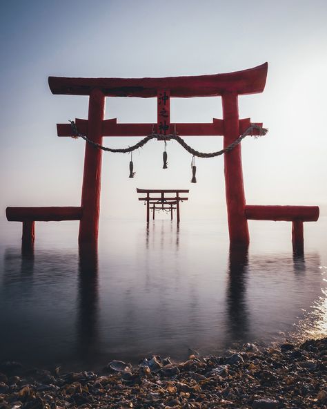 Tori Gate, Japanese Shrine, Torii Gate, Japan Landscape, Japan Photography, Sacred Architecture, Cultural Architecture, Japan Culture, Japan Aesthetic