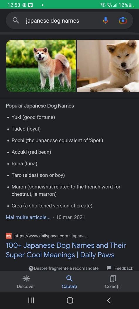 Japanese Dog Names, Japanese Dog, Good Meaning, Scary Dogs, Japanese Dogs, Man And Dog, Japanese Names, Names With Meaning, Dog Names