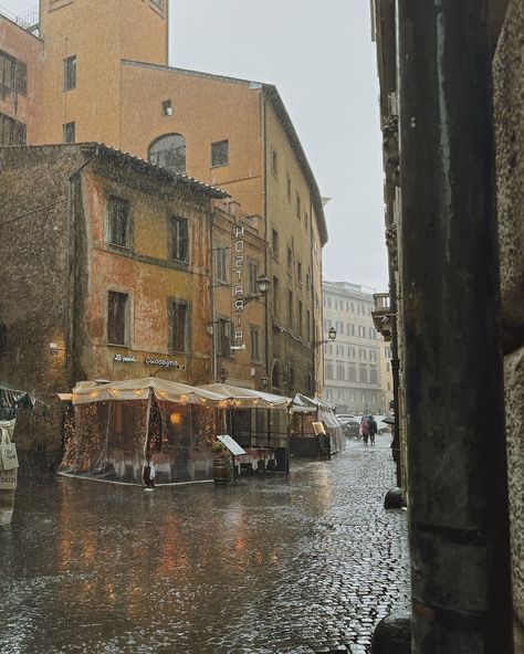 Christopher | Romanticizing a rainy day in Rome.. 🌧️ | Instagram Rome Instagram, Day In Rome, June 1, A Rainy Day, Rainy Days, Looking Up, Rainy Day, Rome, Good Books