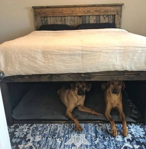 Random Super Pictures From The Interweb 812 - Gallery Skjulte Rum, Design Seed, Dog Bedroom, Head Boards, Western Bedroom, Dog Kennels, Studio Apt, Dog Ideas, Air Bnb