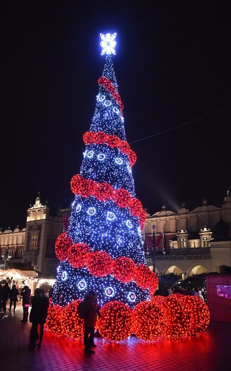 Christmas trees around the world – in pictures Google Christmas, National Christmas Tree, Christmas World, O Christmas Tree, Black Christmas Trees, Christmas Around The World, World Images, Beautiful Christmas Trees, Christmas Wonderland