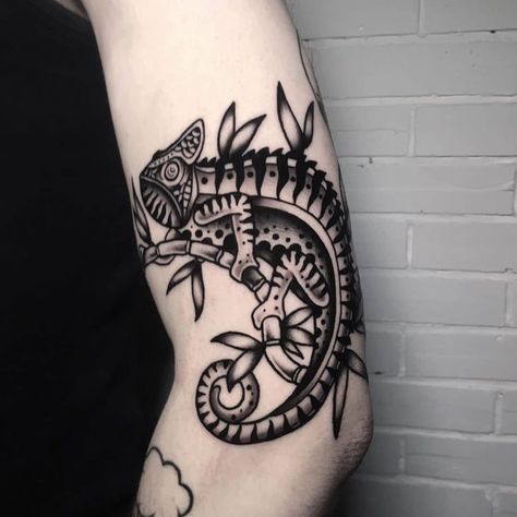 #Tattoos,lizard tattoo American Traditional Chameleon Tattoo, Chameleon Traditional Tattoo, Traditional Gecko Tattoo, Lizard Traditional Tattoo, Reptile Tattoo Ideas, Chameleon Tattoos, Tattoo Lizard, Old School Flash Tattoo, Reptile Tattoo