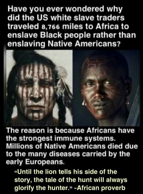 African History Truths, African American History Facts, Black Heritage, Black Fact, History Facts Interesting, Black Knowledge, Awesome Sauce, History Education, Knowledge And Wisdom