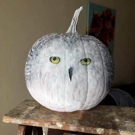 Hedwig pumpkin 🎃 ⚡️🦉 #harrypotter #hedwig #pumpkinpainting Hedwig Pumpkin Painting, Harry Potter Painted Pumpkin, Harry Potter Pumpkin Ideas, Hedwig Pumpkin, Owl Pumpkin Carving, Library Halloween, Halloween Harry Potter, Harry Potter Pumpkin, Pumpkin Decorating Diy