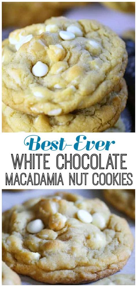 Macadamia Nut Cookies Recipe, White Chocolate Macadamia Cookies, Nuts Cookies, Chocolate Macadamia Nut Cookies, White Chocolate Macadamia Nut Cookies, White Chocolate Macadamia Nut, Macadamia Cookies, Cookies Holiday, Macadamia Nut Cookies