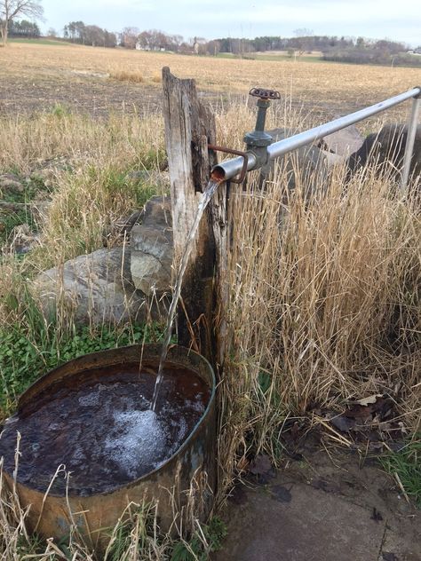 artesian spring well Homestead Rescue, Artesian Well, Big Shower, Well Design, Livestock Farming, Spiritual Bath, Vernal Equinox, Beginning Of Spring, Spring Equinox