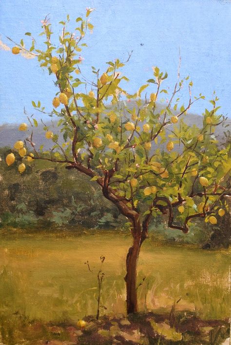 GCA Blog: On Painting Fruit by Katie G. Whipple Painting Fruit, Tree Study, Cottage Painting, Apple Trees, Organic Art, Watercolor Fruit, Garden Painting, Orange Tree, Tree Illustration