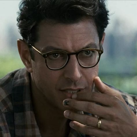 Jeff Goldblum Icon, Jeff Goldblum 90s, Jeffrey Goldblum, Divorced Dad Aesthetic, Young Jeff Goldblum, Jeff Goldblum Independence Day, Jeff Goldblum Jurassic Park, Renee Bellerive, Ian Malcolm