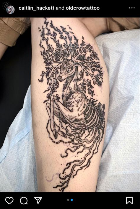 Cottagecore Tattoo, Caitlin Hackett, Doe Tattoo, Gangsta Tattoos, Deer Tattoo, Forest Tattoos, Beautiful Tattoo, Tattoo Portfolio, Next Tattoo