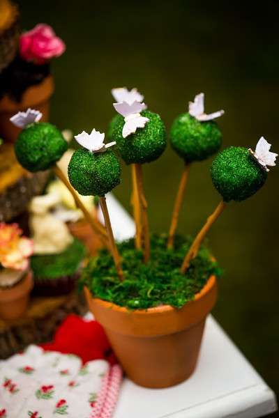 Secret Garden Birthday Party, Secret Garden Birthday, Enchanted Forest Cake, Garden Theme Cake, Garden Birthday Party Ideas, Grass Cake, Enchanted Forest Birthday Party, Garden Party Cakes, Enchanted Forest Birthday