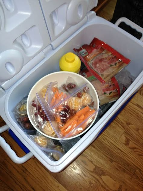 Day Trip Cooler Food, Best Way To Pack A Cooler, How To Store Food In Cooler For Camping, Camping Cooler Food, Easy Chicken Camping Meals, Cooler Packing Tips, Ice Chest Food Ideas, How To Pack A Cooler For A Road Trip, Cooler Food Ideas Camping