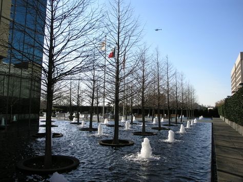 Picture - Fountains and trees at Fountain Place in Dallas, Texas. | PlanetWare Dallas Wedding Venues, Dfw Wedding, Easy Day, Dallas Wedding, Chapel Wedding, Landscape Architect, Tourist Attraction, Landscape Architecture, Dallas