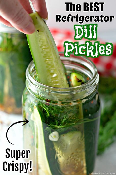 If you love pickles, you can make your own at home with this fantastic Refrigerator Dill Pickles recipe! Fresh sliced cumbers in a homemade brine with pickling spices, fresh garlic and dill--you'll be so surprised how easy it can be to make homemade pickles! Crispy Dill Pickles, Homemade Dill Pickles, Homemade Refrigerator Pickles, Crunchy Pickles, Refrigerator Dill Pickles, Pickling Spices, Refrigerator Pickles Dill, Garlic Dill Pickles, Homemade Pickles Dill