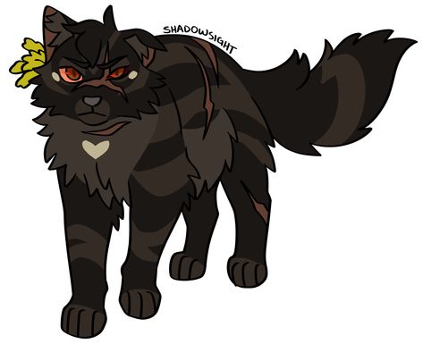 Nifty Senpai, Warrior Cats Books, Cat Anatomy, Warrior Cat Drawings, Warrior Cat Oc, Cat Oc, Warrior Cats Art, Cat Pose, Cat Character