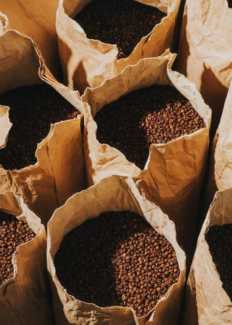 Coffee Content, Types Of Coffee Beans, Roasting Coffee, Coffee Project, Coffee Facts, Brewing Coffee, Coffee Roastery, Coffee Bean Grinder, Roasted Coffee Beans