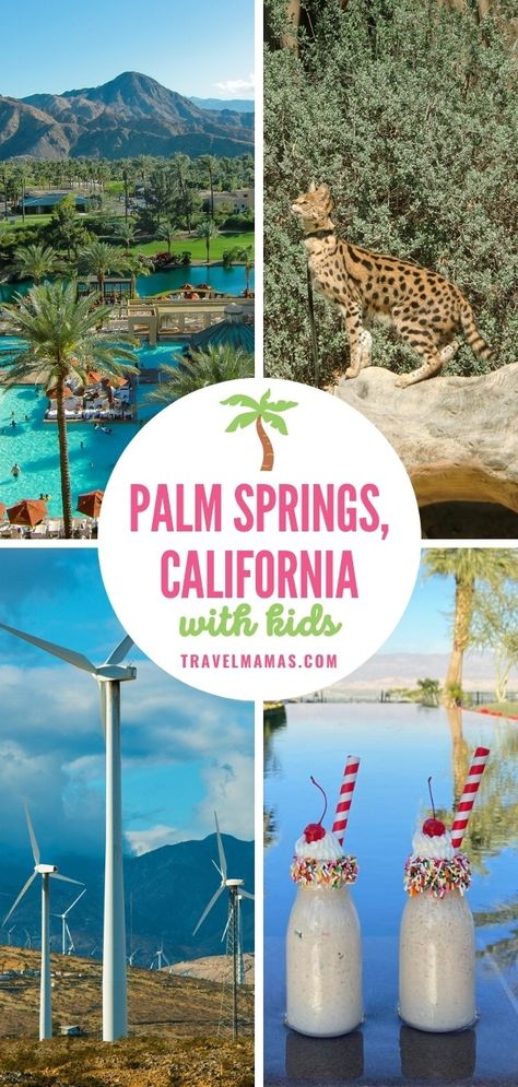 10 Best Things to Do in Palm Springs with Kids and Teenagers California Spring Break, Usa Vacations, California With Kids, Desert City, Palm Spring, California Desert, Palm Springs California, Palm Springs Wedding, Family Destinations