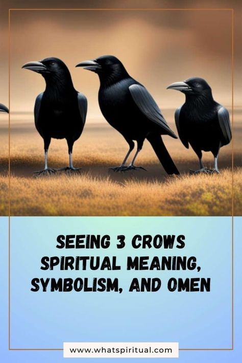 Seeing 3 Crows Spiritual Meaning, Symbolism, and Omen | What Spiritual Three Crows Meaning, 3 Crows Spiritual Meaning, Seeing Crows Meaning, 3 Crows Meaning, Raven Spiritual Meaning, Crow Spiritual Meaning, Crow Symbolism, Crow Meaning, Crow Facts