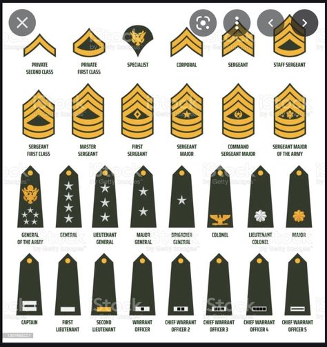 Police Ranks U.s. States, Us Army Ranks, Police Rank, Arrow Board, Army Insignia, Undercover Police, Female Veteran, American Police, Army Aesthetic