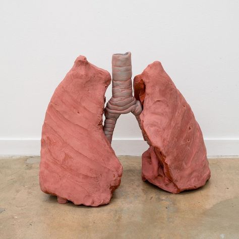 Nicolas Lobo Lipstick lungs (Daringly Nude, Naked Coral), 2018 Air dry clay, lipstick epoxy putty 11 x 14 x 9 in In “Of Purism” curated… Lungs Sculpture, Polymer Creations, Ib Art, Human Lungs, Epoxy Putty, Decor 2023, Conceptual Artist, What To Draw, Gcse Art