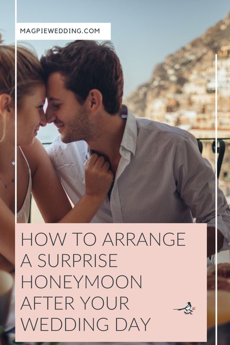 Want to arrange a surprise honeymoon for your partner? Keep The Sting Out With These Crucial Tips! #magpiewedding Post Wedding Blues, Wedding Organiser, Honeymoon Planning, The Sting, Honeymoon Packages, Romantic Destinations, Fishing Charters, Blogging Advice, Wedding Planning Advice