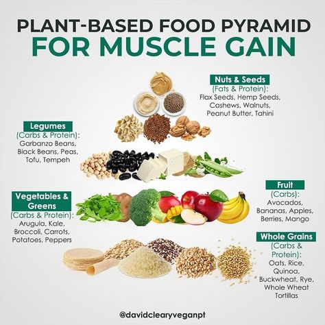 Vegan Weight Gain, Gain Food, Vegan Food Pyramid, Vegan Bodybuilding Diet, Carbs In Vegetables, Carbs In Fruit, Vegan Benefits, Food To Gain Muscle, Vegan Gains