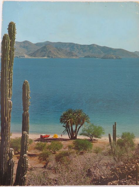 1971 Baja California Mexico, Travel Wishlist, Baja California Sur, México City, Pretty Places, Travel Inspo, Aesthetic Pictures, Cute Wallpapers, Vision Board