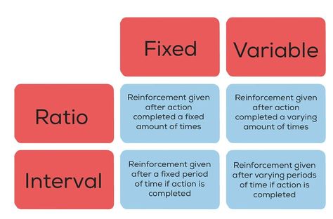 Schedules of reinforcement, an integral concept in behavioral psychology, intricately describe the varied intervals and ratios at which reinforcements are administered to induce and sustain particular behaviors through a method known as conditioning. These schedules, which permeate our daily lives, are not merely theoretical constructs but deeply embedded in our routines and interactions, whether we consciously recognize them. Originating from the meticulous work of B.F. Skinner, in the mid-20t Schedules Of Reinforcement, Rbt Exam, Behavioral Psychology, Operant Conditioning, Organizational Behavior, Intrinsic Motivation, Aba Therapy, Positive Reinforcement, Student Engagement