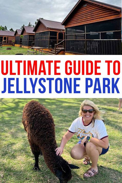 Jellystone Park Packing List, Jellystone Park Yogi Bear, Jellystone Park, Stone Park, Texas Parks, Yogi Bear, North Texas, Weekend Getaway, Oh The Places Youll Go