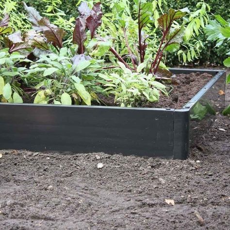 Plastic Raised Beds Raised Vegetable Planter, Gardening Layout, Raised Bed Kits, Raised Garden Planters, Kitchen Ikea, Raised Planter Beds, Allotment Gardening, Exquisite Gardens, Home Grown Vegetables