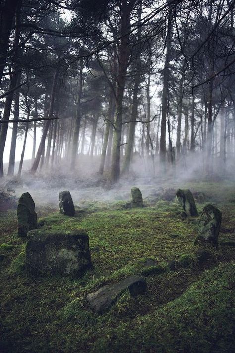 Crow Core, Stone Circle, Standing Stone, Ancient Forest, Witch Aesthetic, Samhain, Dark Forest, Enchanted Forest, In The Forest