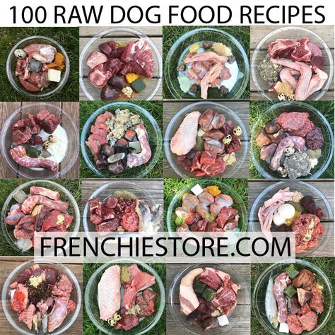 We have teamed up with our friends that are raw feeding experts to bring you 100 raw dog feeding recipes along with helpful information when it comes to raw feeding your pet. Raw Dog Food Diet Recipes, Homemade Raw Dog Food, Raw Puppy Food Recipes, How To Make Raw Dog Food, Raw Feeding For Dogs Food Recipes, Barf Diet For Dogs, Raw Dog Food Recipes For Beginners, Raw Diet For Dogs, Raw Food Diet For Dogs Recipes