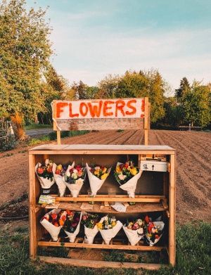 Flower Shops Aesthetics, Picking Flowers Aesthetic, Flowershop Aesthetic Vintage, Flower Farm Instagram, Vsco Flowers, Nothing But Flowers, Flower Therapy, Flower Stands, Flower Farm