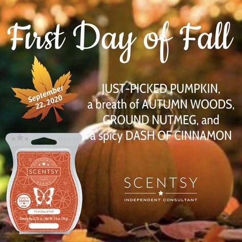 Just picked pumpkin, a breath of Autumn Woods, Ground Nutmeg and a spicy Dash Of Cinnamon. Autumn Woods, First Day Of Fall, Scentsy Bars, Wickless Candles, Electric Candle Warmers, Ground Nutmeg, Wax Warmers, Fragrance Wax, Signature Scent