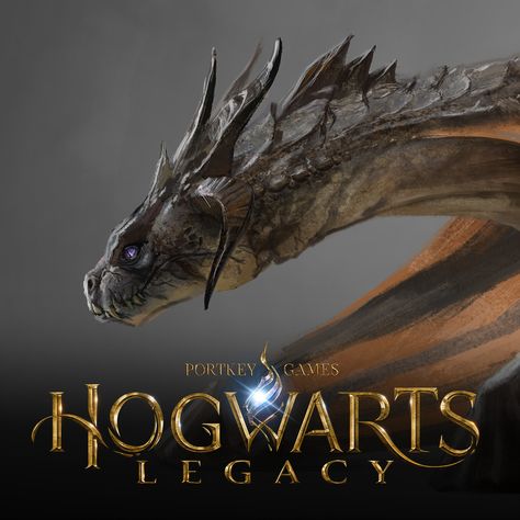 Hebridean Black, Danny Russon on ArtStation at https://www.artstation.com/artwork/KezPny Hebridean Black Dragon Harry Potter, Hogwarts Legacy Dragon, Hebridean Black Dragon, Harry Potter Creatures, Hogwarts Legacy, Severus Snape, Fantasy Armor, Black Dragon, Harry Potter Hogwarts