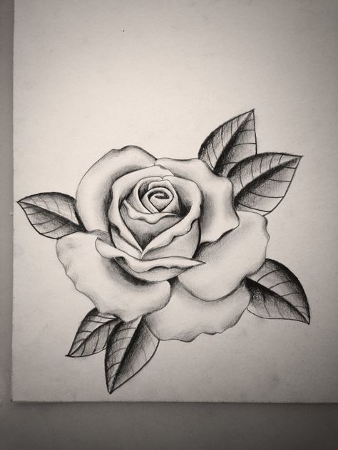 Black and grey rose by Mike Attack  Instagram @mikeattack_tattoo  Tattoosbyattack.tumblr.com Tattoo Crane, Black And Grey Rose, Rose Drawing Tattoo, Rose Sketch, Kunst Tattoos, Skeleton Hand Tattoo, Back Of Shoulder Tattoo, Rose Tattoo Design, Rose Drawing