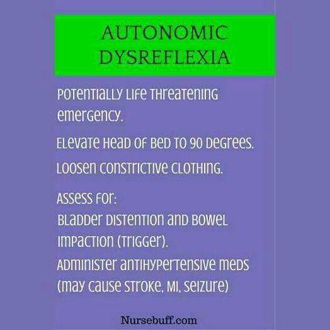 Autonomic Dysreflexia Autonomic Dysreflexia Nursing, Autonomic Dysreflexia, Ipad Pro Notes, Nursing Education, Nursing School, Psych, S N, Ipad Pro, Assessment